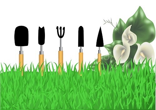 tuinoverzicht